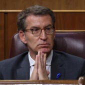Alberto Núñez Feijóo, en el Congreso de los Diputados.