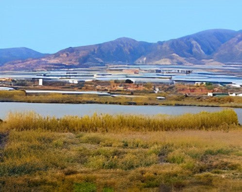 Las Albuferas de Adra, en jaque Las Albuferas de Adra, en jaque