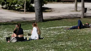 Varias personas, sentadas en un parque de Madrid.