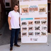 Onda presenta un Cartel taurino para la Fira con 28 toros de las mejores ganaderías del país Onda presenta un Cartel taurino para la Fira con 28 toros de las mejores ganaderías del país