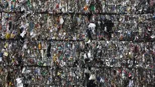 Un estudio preliminar muestra mayor toxicidad en bolsas compostables que en las de plástico convencional