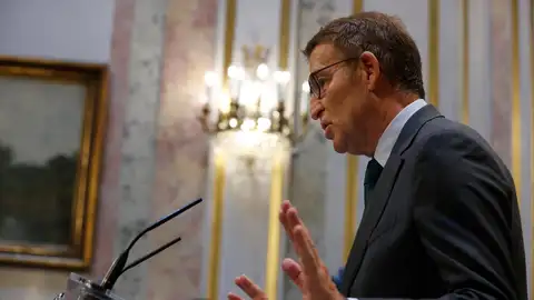 El líder popular Alberto Núñez Feijóo El líder popular Alberto Núñez Feijóo