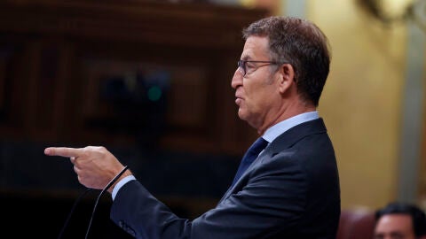 Alberto Núñez Feijóo durante su intervención en el día de hoy EFE/Juan Carlos Hidalgo