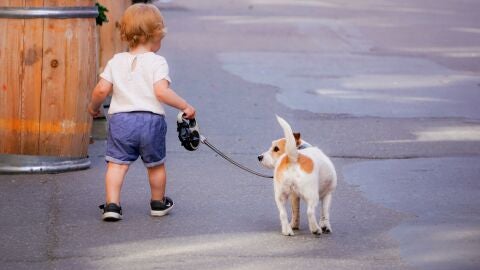 Entra en vigor la nueva ley de bienestar animal: qu&eacute; dice la normativa y c&oacute;mo afecta a tu mascota