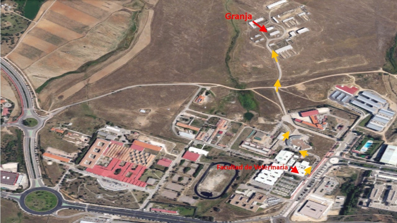 La Facultad de Veterinaria de la UEx inicia este viernes los actos para conmemorar su 40 aniversario La Facultad de Veterinaria de la UEx inicia este viernes los actos para conmemorar su 40 aniversario