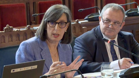 Nieves Roque&ntilde;&iacute;