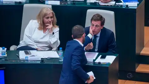 El concejal del PSOE toca la cara a Almeida en el pleno y después es expulsado. El concejal del PSOE toca la cara a Almeida en el pleno y después es expulsado.