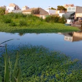 Albufera en El Perelló Albufera en El Perelló