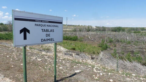 Situación crítica en el Parque de las Tablas de Daimiel