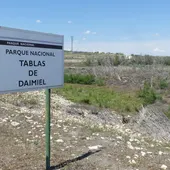 Situación crítica en el Parque de las Tablas de Daimiel Situación crítica en el Parque de las Tablas de Daimiel