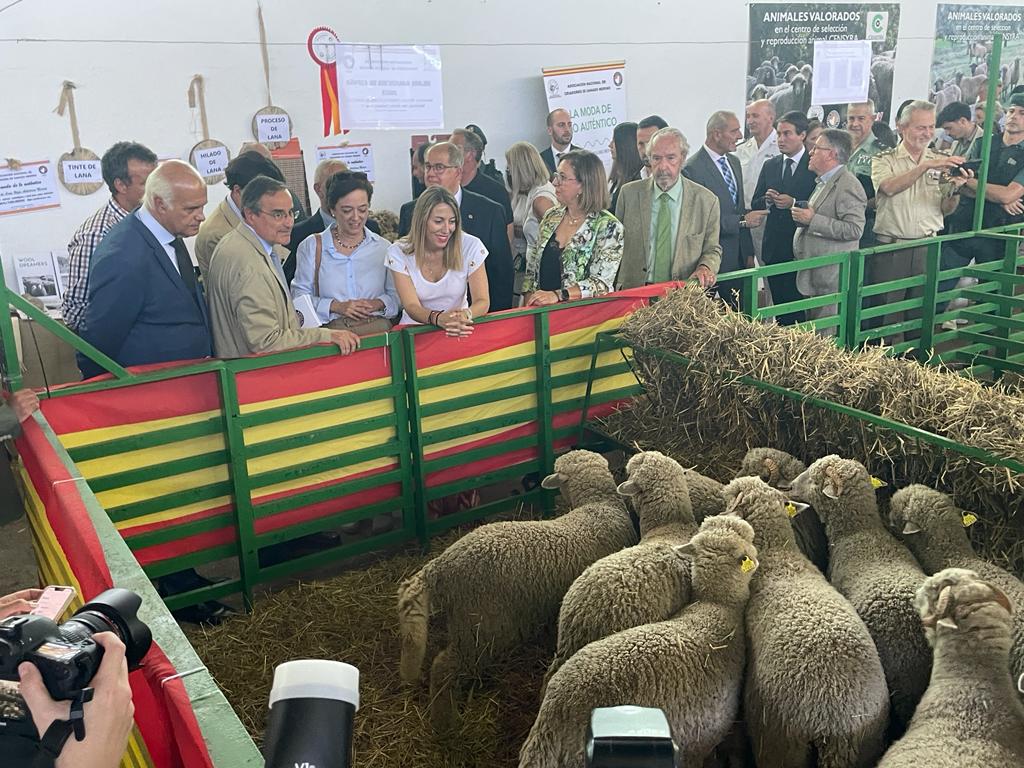 Zafra "Capital Nacional" del ganado hasta el próximo martes Zafra "Capital Nacional" del ganado hasta el próximo martes