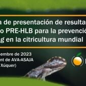 Cartel Jornada HLB