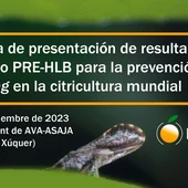 Cartel Jornada HLB Cartel Jornada HLB