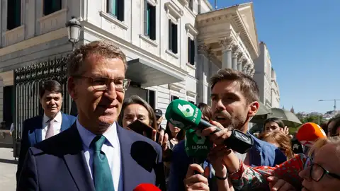 Feijóo cree que el referéndum es "un cebo" para no hablar sobre la amnistía Feijóo cree que el referéndum es "un cebo" para no hablar sobre la amnistía