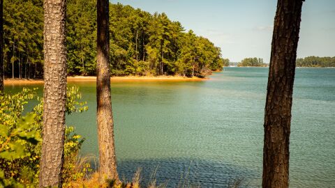 Lago Larnier 