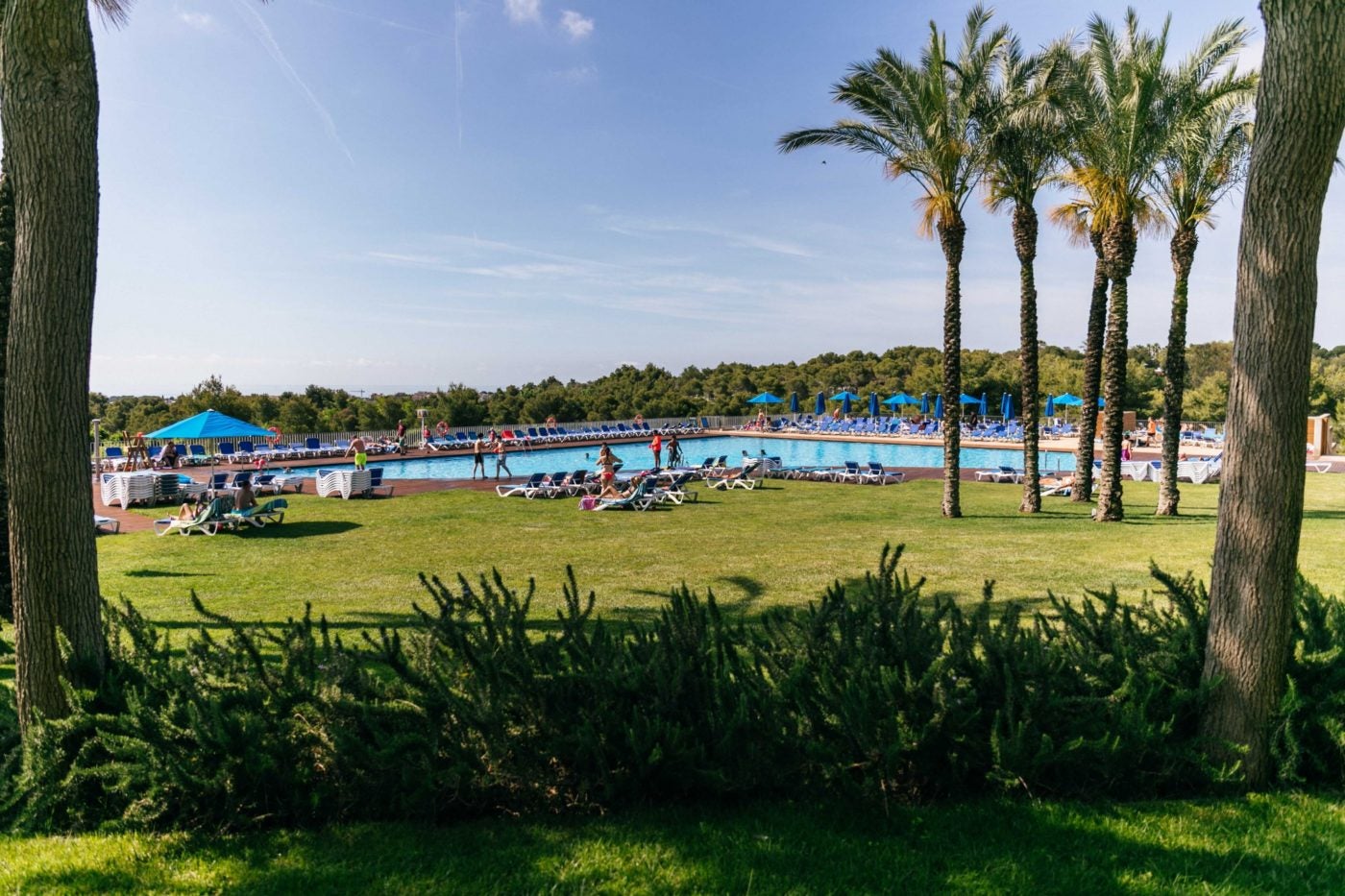 Bon balanç d'estiu a Vilanova Park i bones perspectives d'ocupació per tancar l'any 2023 Bon balanç d'estiu a Vilanova Park i bones perspectives d'ocupació per tancar l'any 2023