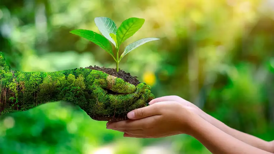 https:www.ecologiaverde.com/la-importancia-del-medio-ambiente-2972.html https:www.ecologiaverde.com/la-importancia-del-medio-ambiente-2972.html