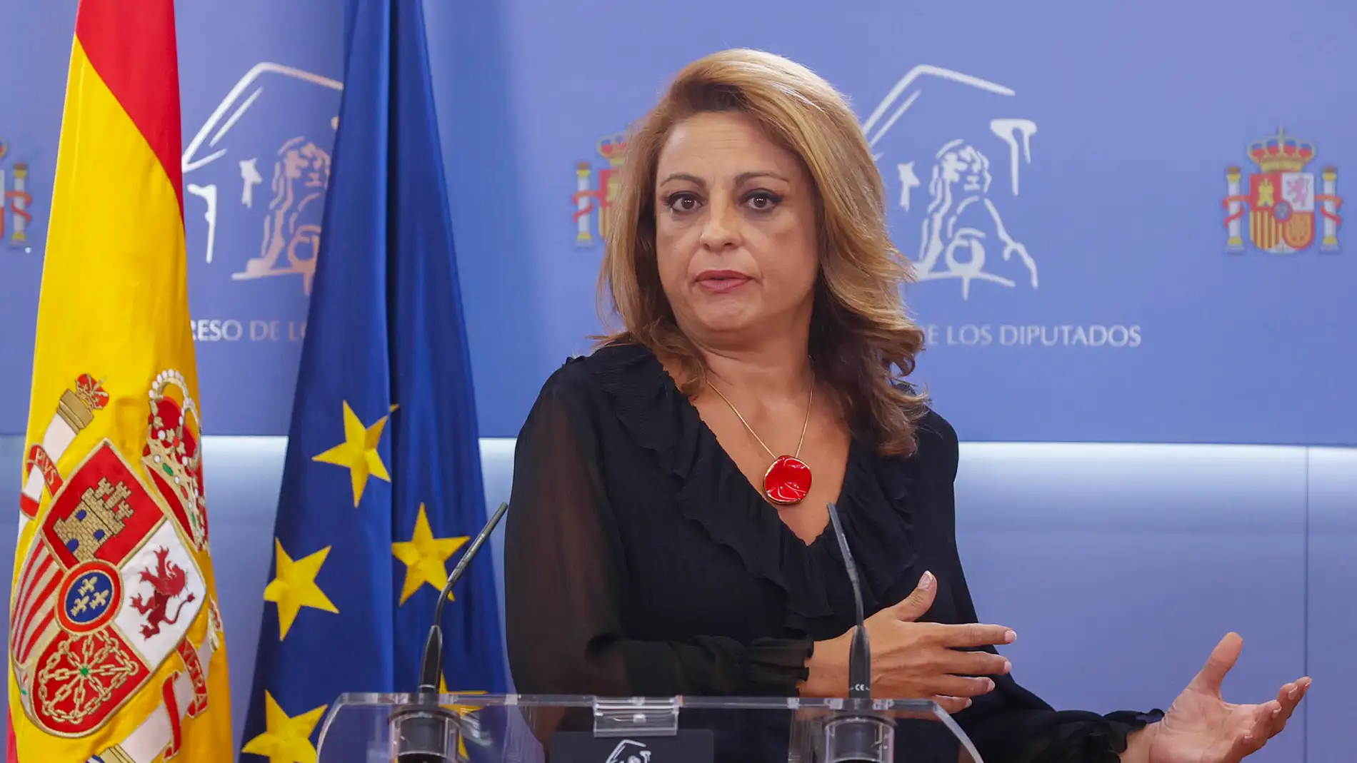 La diputada de Coalición Canaria, Cristina Valido
