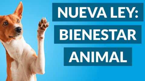 ley bienestar animal