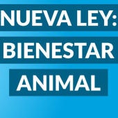 Ángel Osuna comenta los aspectos más destacados de la nueva Ley de Bienestar Animal