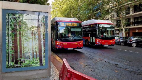 Autobuses de Tussam 