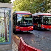 Autobuses de Tussam Autobuses de Tussam