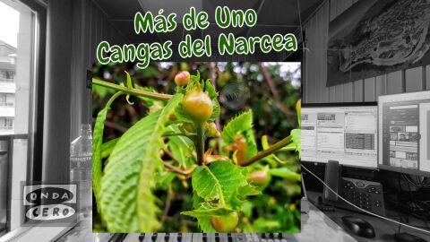 M&aacute;s de Uno Cangas del Narcea 3/10/2023 
