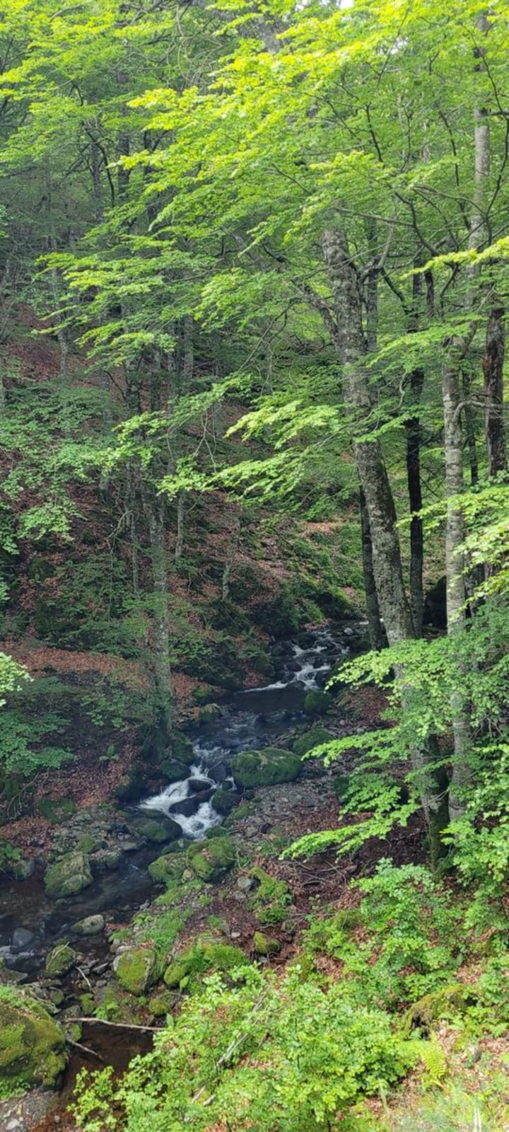 Pozo Negro, aldeas de Ezcaray Pozo Negro, aldeas de Ezcaray