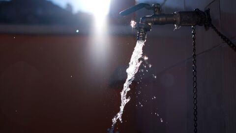 Brote gastroenteritis