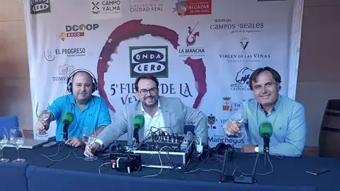 V Fiesta de la vendimia V Fiesta de la vendimia