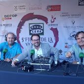 V Fiesta de la vendimia 