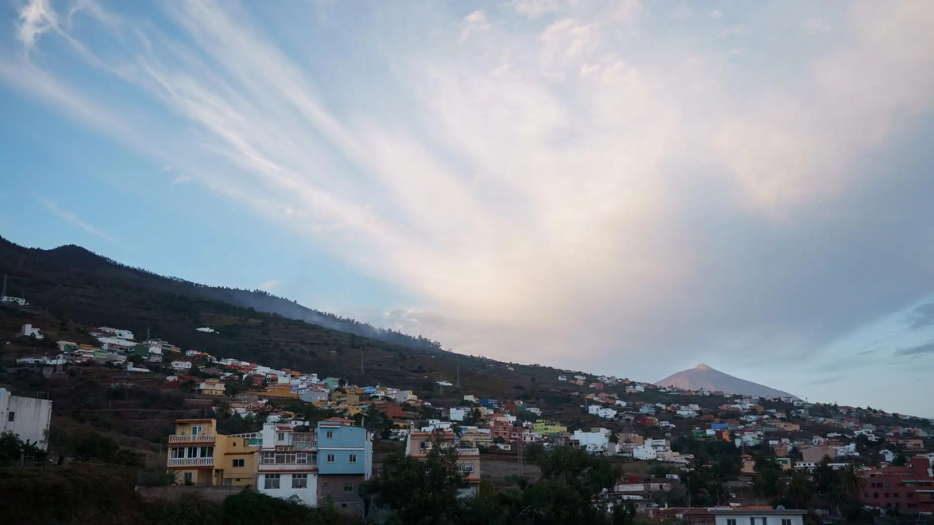 Zona de los altos del municipio de Santa Úrsula en Tenerife donde se reactivó el incendio activo desde hace 52