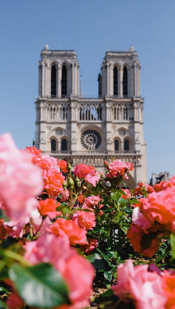 Notre Dame