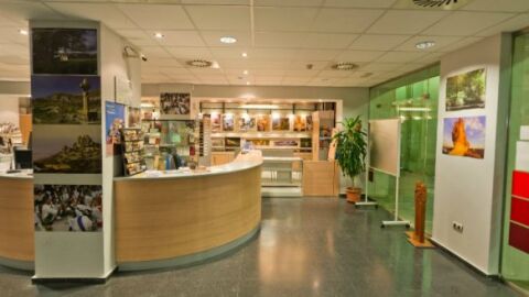 Ampl&iacute;an las visitas guiadas para el puente del Pilar