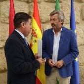 Torrico