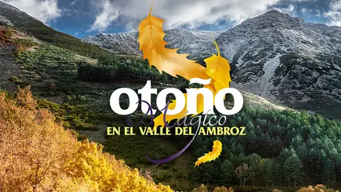 Extremadura prevé una ocupación turística para el Puente del Pilar cercana al 75% Extremadura prevé una ocupación turística para el Puente del Pilar cercana al 75%