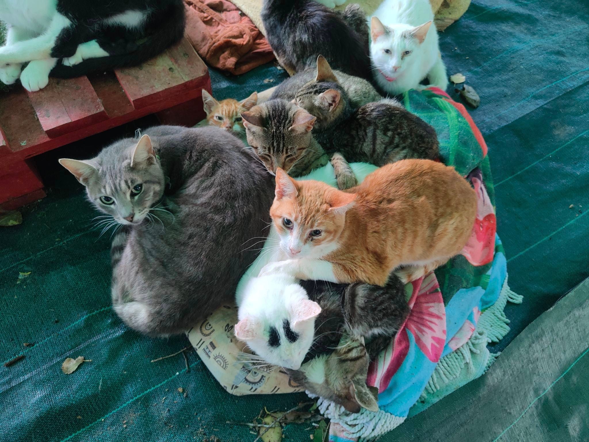 Más de Uno Ceuta 16/10/23 Más de Uno Ceuta 16/10/23