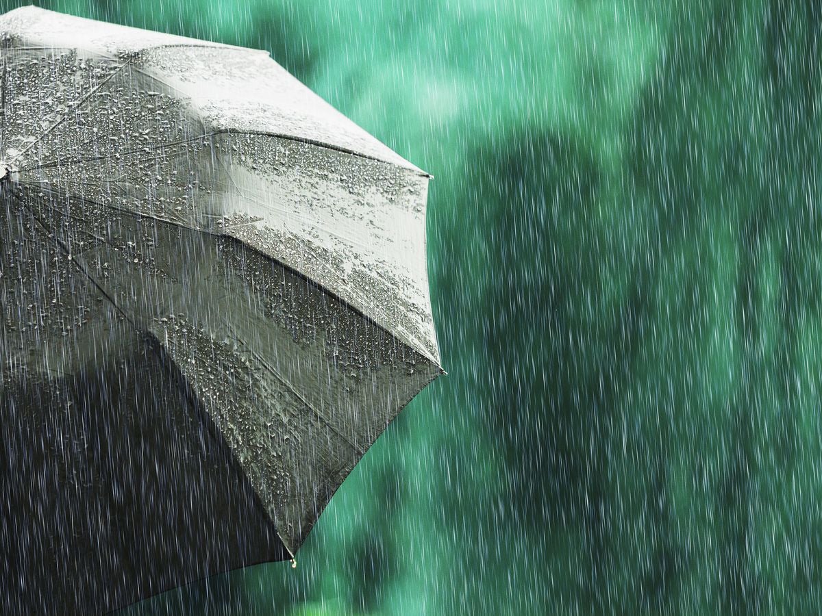 Más de uno Sevilla 12/02/2024 Más de uno Sevilla 12/02/2024