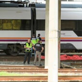 Agentes de Policía, de la UME y de seguridad de Renfe junto al cuerpo hallado entre dos vagones de un tren en la estación de Santa Justa 