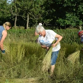 Os socialistas reinvindican o papel das mulleres rurais, imprescindibles e pioneiras Os socialistas reinvindican o papel das mulleres rurais, imprescindibles e pioneiras