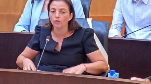 La portavoz socialista de Benidorm, Cristina Escoda