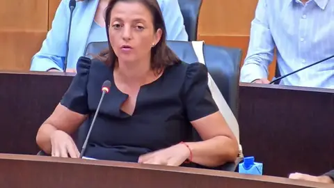La portavoz socialista de Benidorm, Cristina Escoda La portavoz socialista de Benidorm, Cristina Escoda
