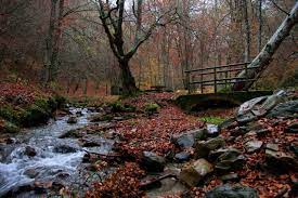 Un paseo otoñal por El Rajao, en Tobía Un paseo otoñal por El Rajao, en Tobía