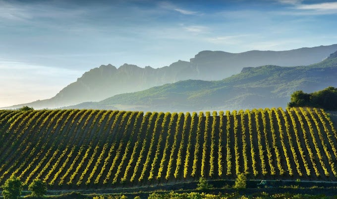 El Consejo Regulador DOCa Rioja traslada al ministerio su acuerdo de evitar plantaciones en Rioja en 3 años El Consejo Regulador DOCa Rioja traslada al ministerio su acuerdo de evitar plantaciones en Rioja en 3 años