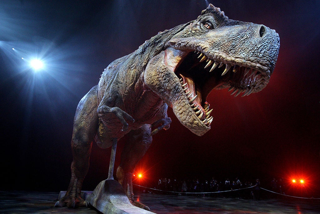 Los dinosaurios no se extinguiron, los vemos cada día: un pequeño repaso por su evolución Los dinosaurios no se extinguiron, los vemos cada día: un pequeño repaso por su evolución