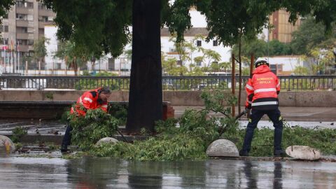 Bomberos trabajan en la retirada de ramas 