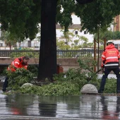 Bomberos trabajan en la retirada de ramas Bomberos trabajan en la retirada de ramas