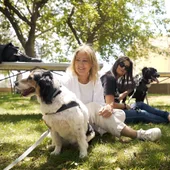 L´Alcora rescata 240 animales desde 2021. L´Alcora rescata 240 animales desde 2021.