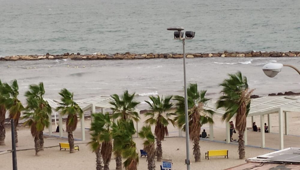 El viento mueve las palmeras y el mar levanta olas en El Postiguet