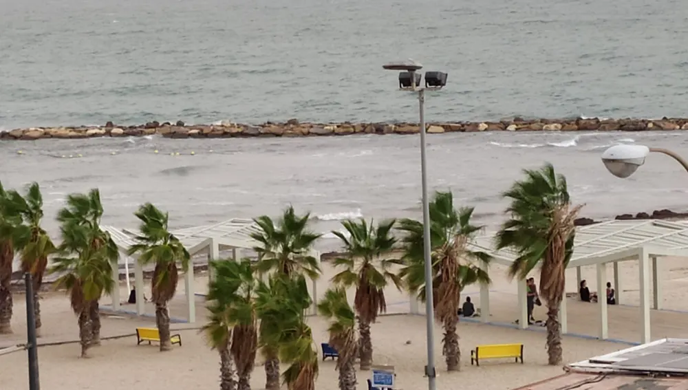 El viento mueve las palmeras y el mar levanta olas en El Postiguet El viento mueve las palmeras y el mar levanta olas en El Postiguet